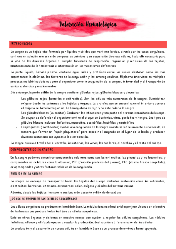 Miniatura del documento Valoracion-hematologica.pdf