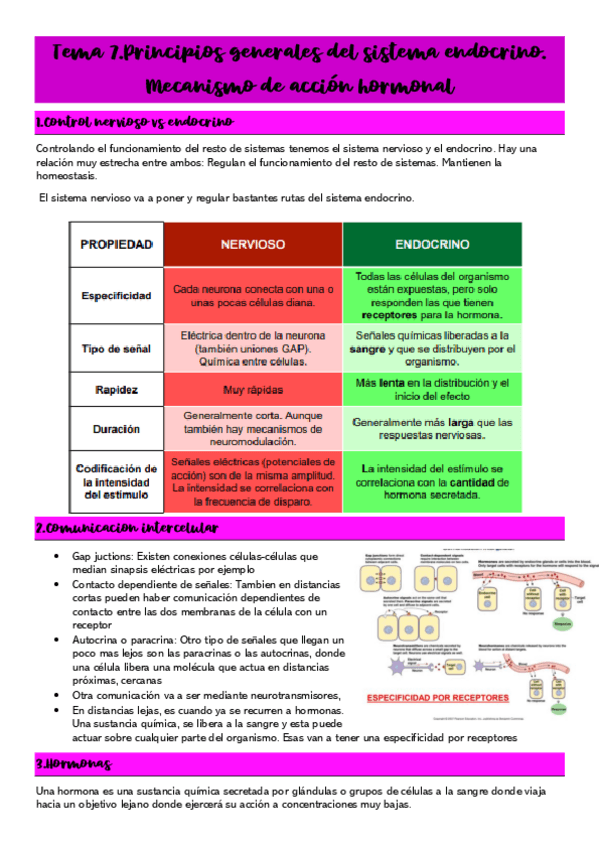 Miniatura del documento Tema-7.pdf