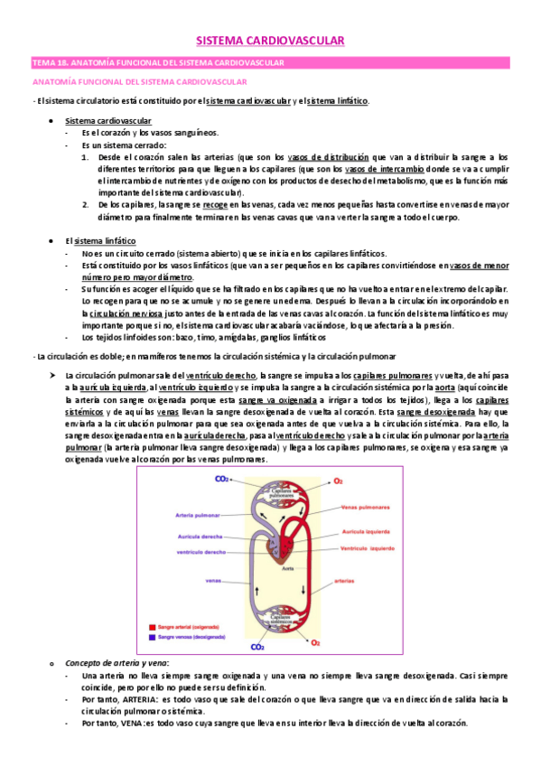 Miniatura del documento SISTEMA-CARDIOVASCULAR.pdf