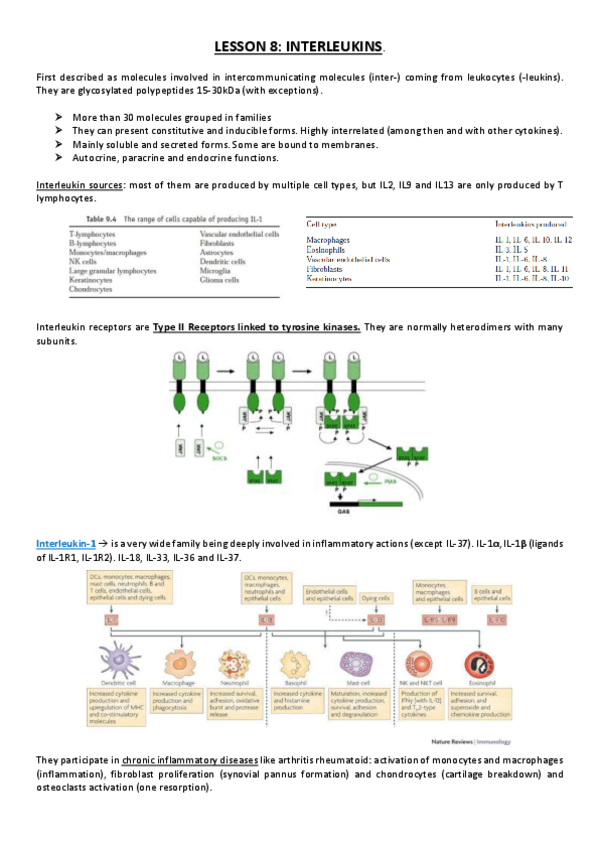 Miniatura del documento Lesson 8.pdf