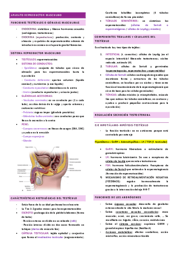 Miniatura del documento resumen-practicas.pdf