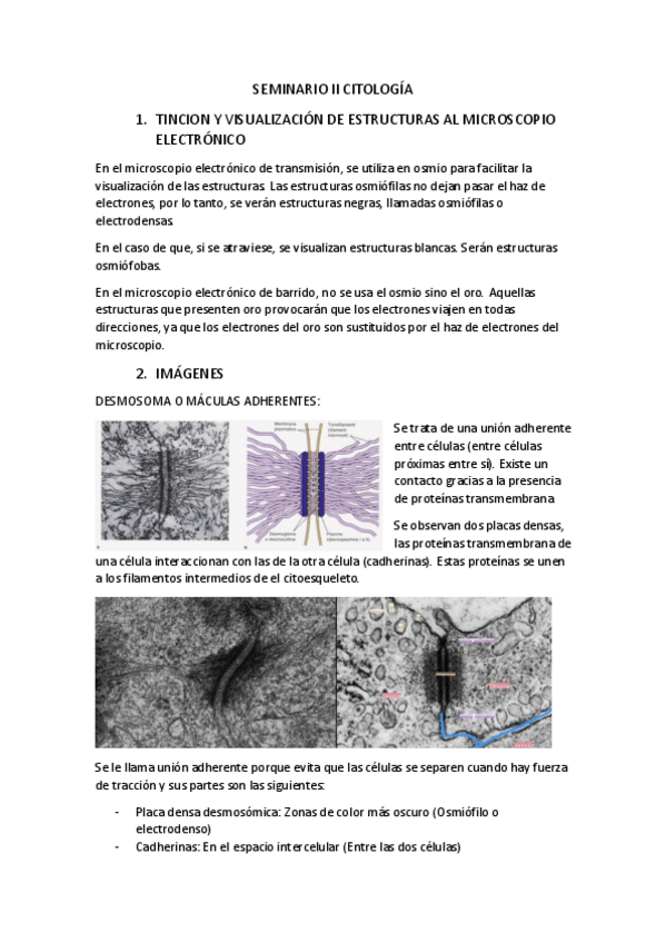 Miniatura del documento SEMINARIO-2-CITOLOGIA-2.pdf