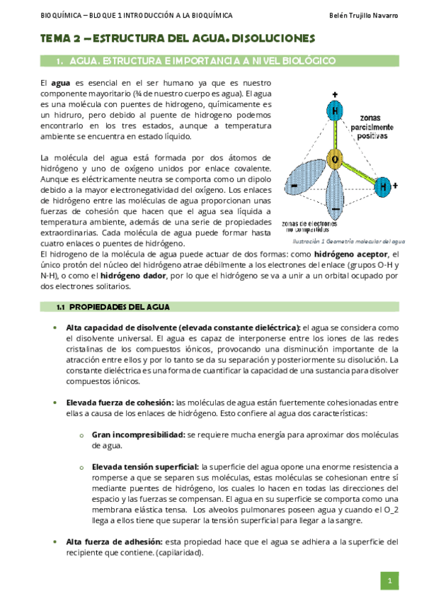 Miniatura del documento BIOQ-Tema2-Agua.pdf