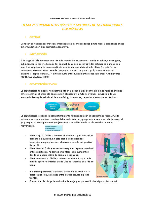 Miniatura del documento TEMA-2-GIMNASIA.pdf