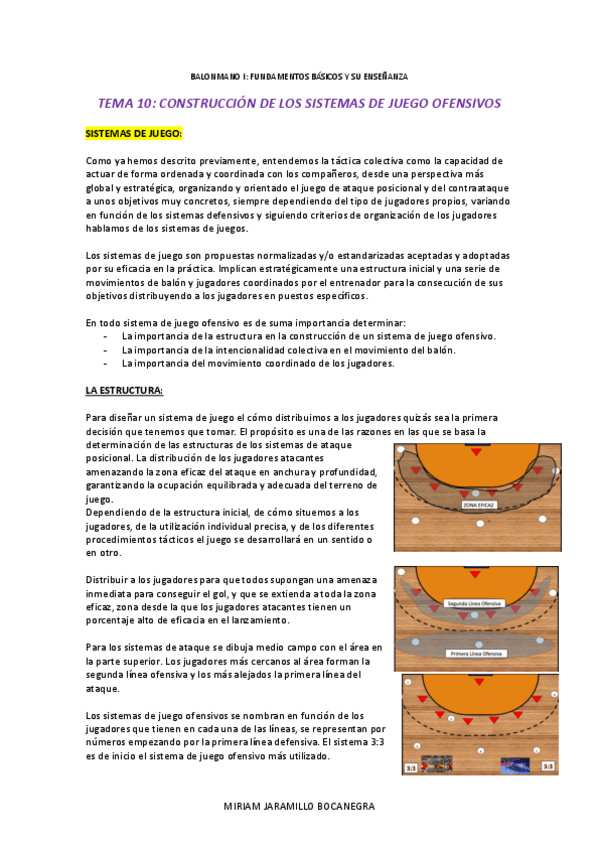 Miniatura del documento TEMA-10-BALONMANO.pdf