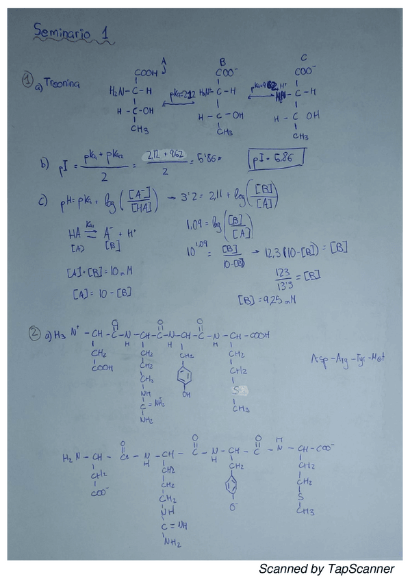 Miniatura del documento seminarios-primer-cuatri.pdf