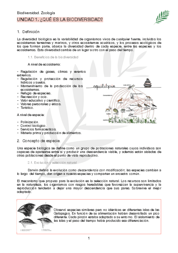 Miniatura del documento Biodiversidad-wuolah.pdf