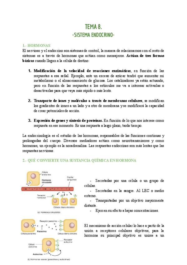 Miniatura del documento TEMA-8-ENDOCRINO.pdf