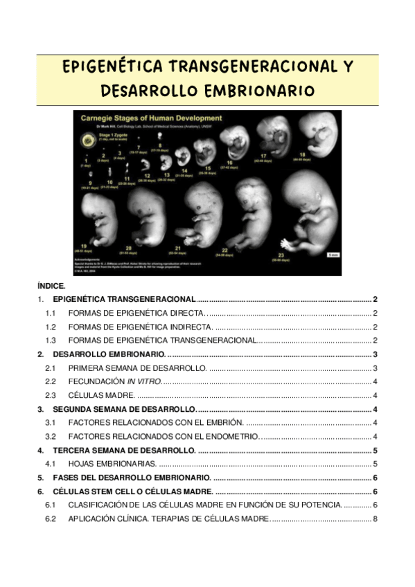 Miniatura del documento EPIGENETICA-TRANSGENERACIONAL-Y-DESARROLLO-EMBRIONARIO.pdf