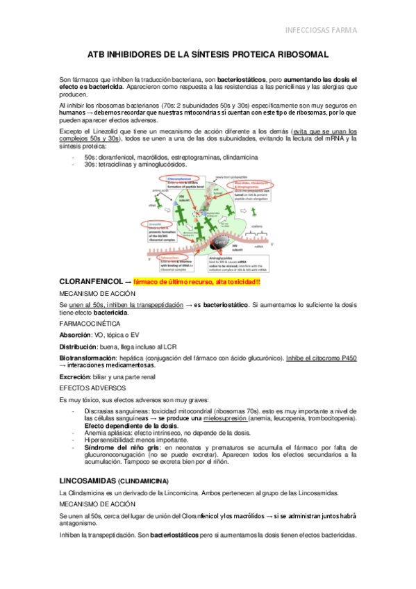 Miniatura del documento inhibidores-sintesis-ribosomal.pdf