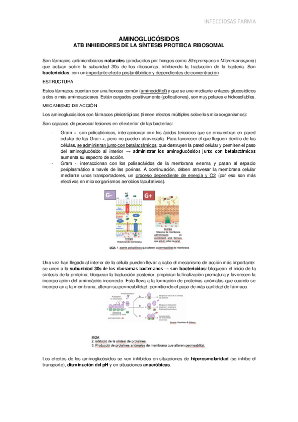 Miniatura del documento aminoglucosidos.pdf