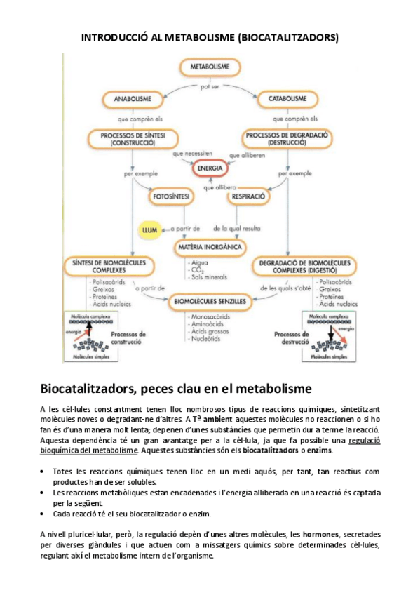 Miniatura del documento INTRODUCCIO-AL-METABOLISME.pdf