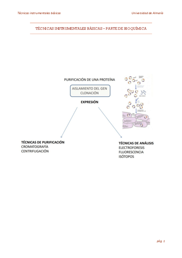 Miniatura del documento TECNICAS-INSTRUMENTALES-BASICAS-parte-de-bioquimica.pdf