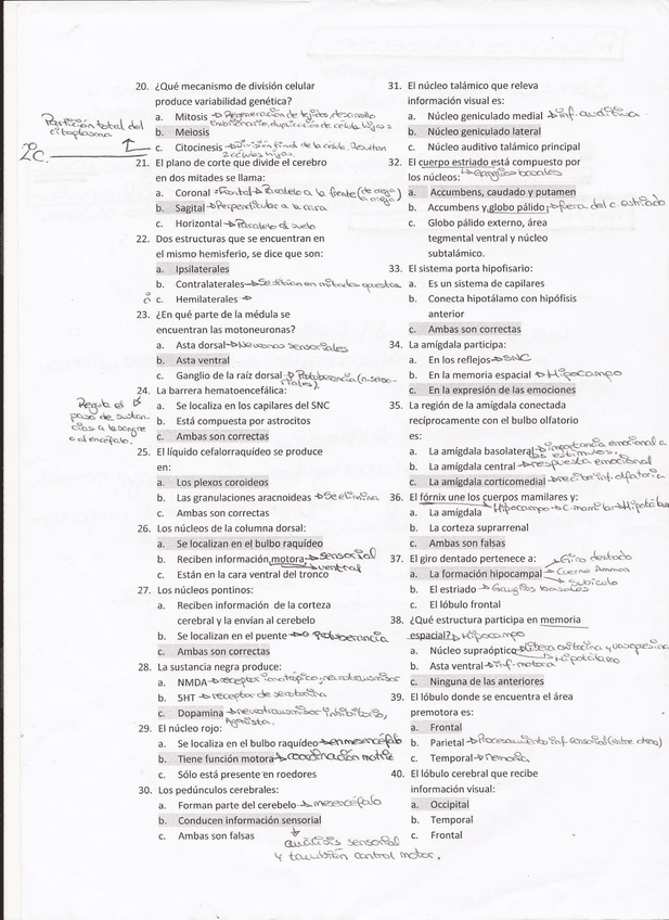 Miniatura del documento Examen Psicobiologia(2) (3).jpg