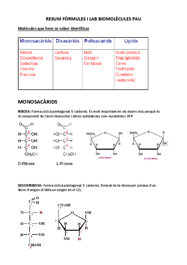 Miniatura del documento RESUM-FORMULES-I-LAB-BIOMOLECULES-PAU.pdf