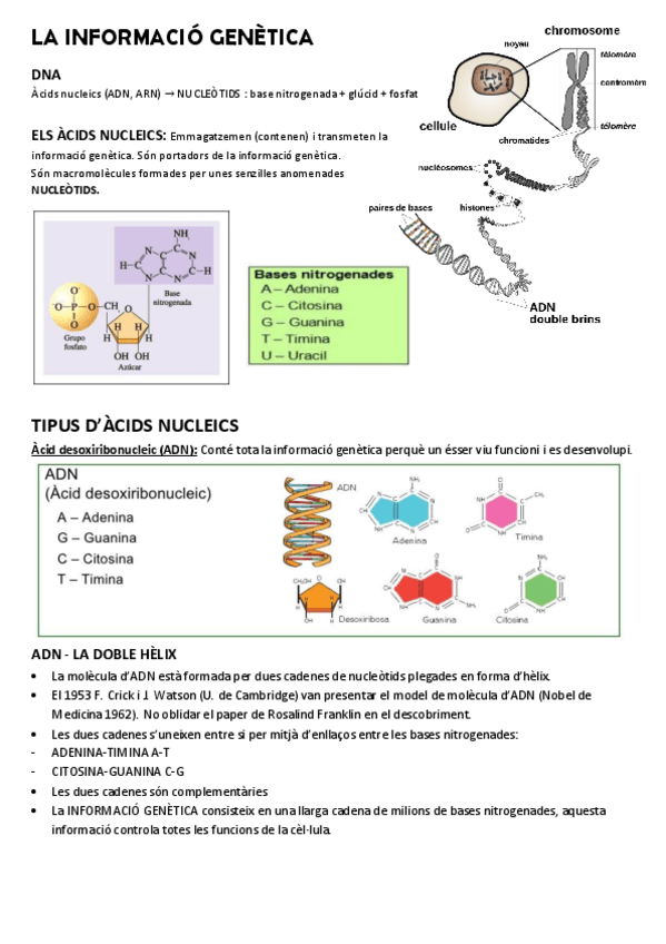 Miniatura del documento GENETICA-APUNTES.pdf