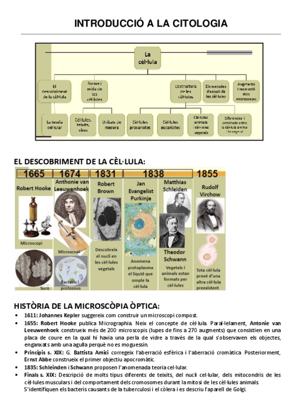 Miniatura del documento INTRODUCCIO-A-LA-CITOLOGIA.pdf