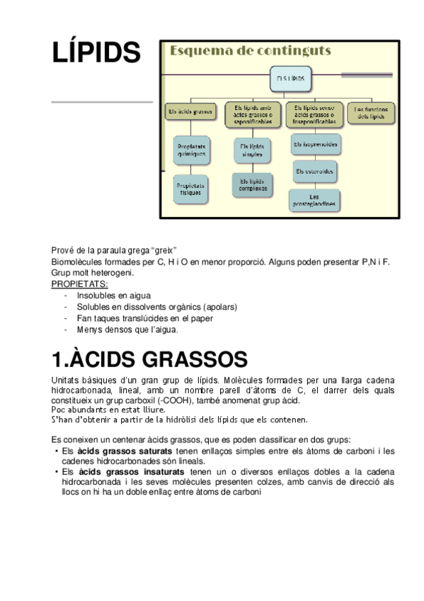 Miniatura del documento RESUM-LIPIDS-AMINOACIDS-I-PROTEINES.pdf