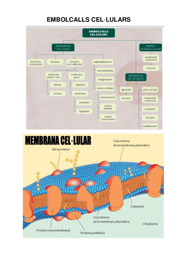 Miniatura del documento EMBOLCALLS-CELLULAR.pdf