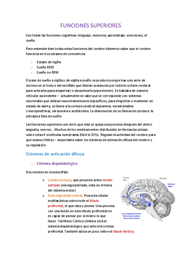 Miniatura del documento FUNCIONES-SUPERIORES.pdf