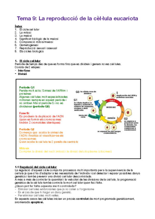 Miniatura del documento la-reproduccio-de-la-cellula-eucariota-tema-9.pdf