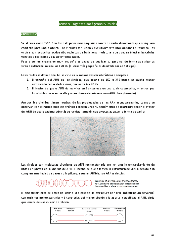 Miniatura del documento Tema-9-Agentes-patogenos-Viroides.pdf