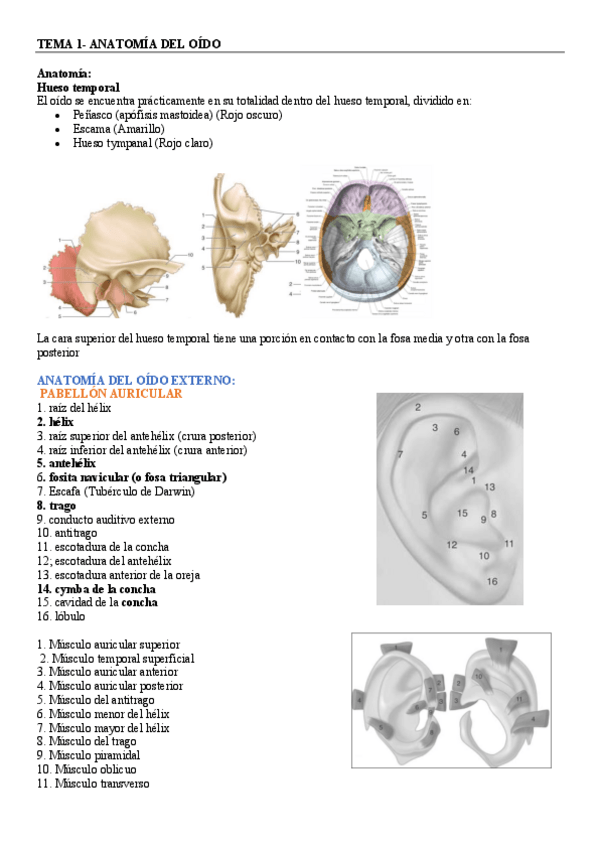 Miniatura del documento wTEMA-1.pdf