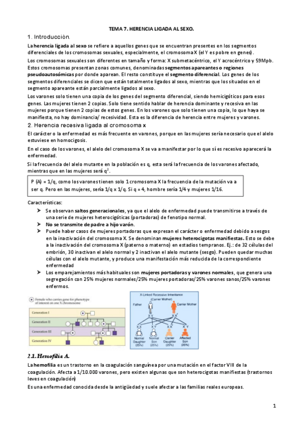 Miniatura del documento TEMA-7.pdf