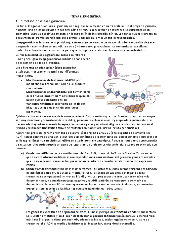 Miniatura del documento TEMA-8.pdf
