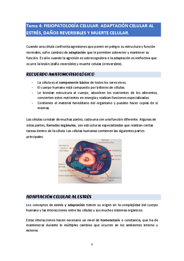Miniatura del documento tema-4.pdf