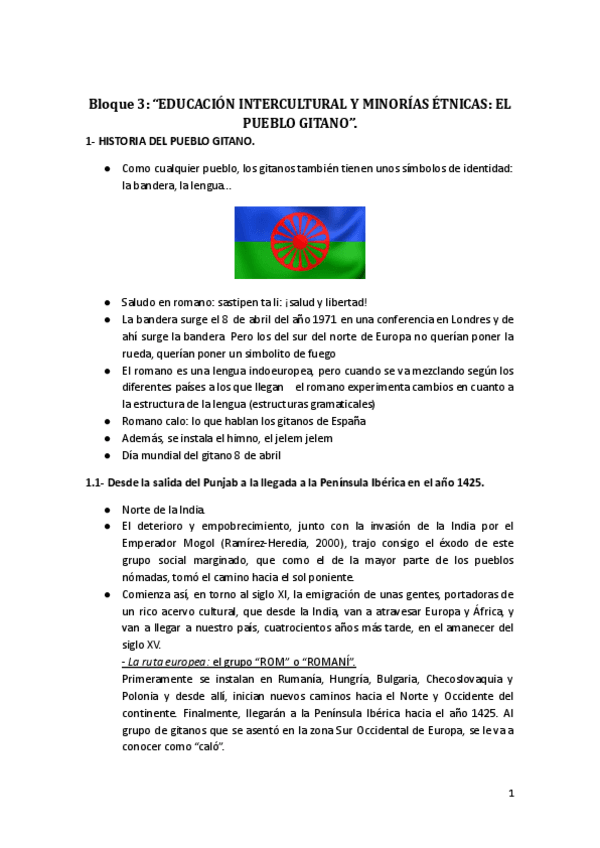 Miniatura del documento Educacion-intercultural-y-minorias-etnicas-el-pueblo-gitano.pdf