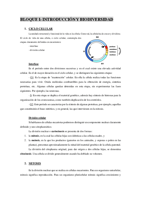 Miniatura del documento Ciclo-celular.pdf