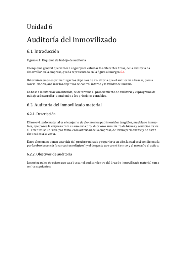 Miniatura del documento TEMA-6-AUDITORIA.pdf