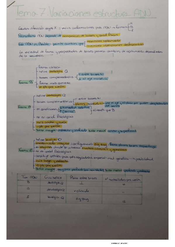 Miniatura del documento Tema 7 BQ.pdf