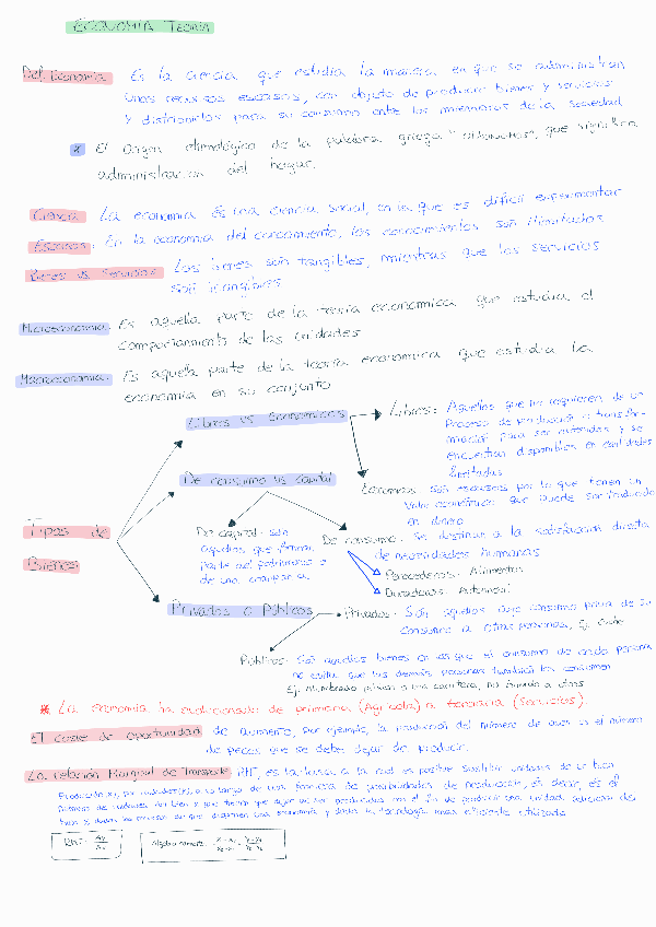 Miniatura del documento RESUMEN-ECONOMIA220504220543.pdf