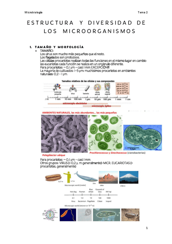 Miniatura del documento TEMA-2.pdf