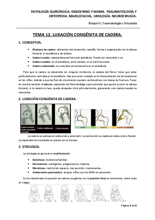 Miniatura del documento Tema-12.pdf