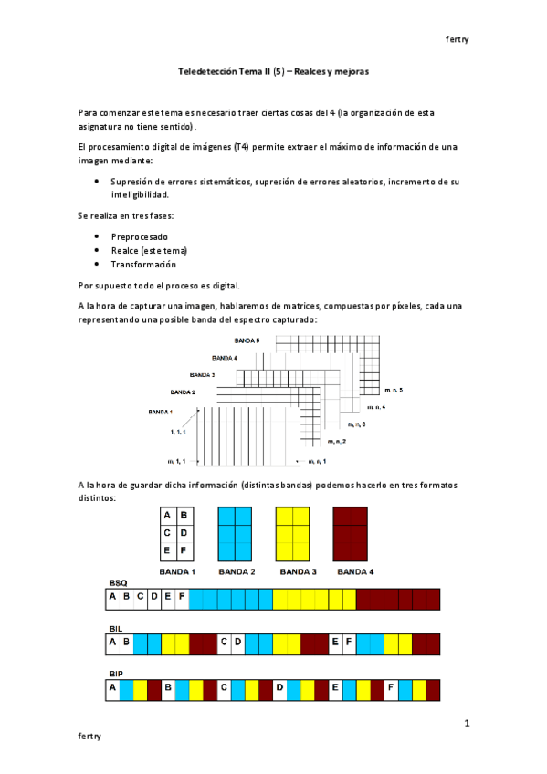 Miniatura del documento T-Tema-V.pdf