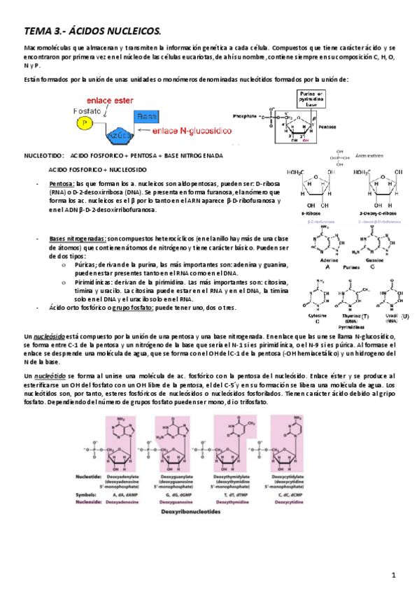 Miniatura del documento TEMA-3.pdf
