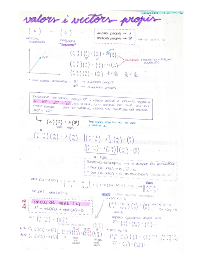 Miniatura del documento PA1-Valors-i-vectors-propis-i-Models-Matricials.pdf