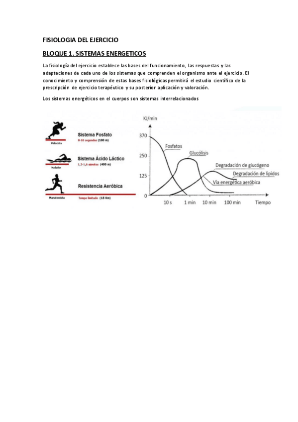 Miniatura del documento 1-FISIOLOGIA-DEL-EJERCICIO.pdf