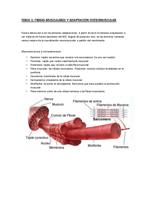 Miniatura del documento 2-Fisiologia-del-Ejercicio.pdf