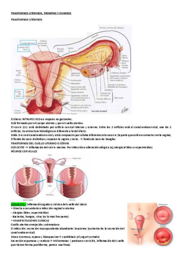 Miniatura del documento TRASTORNOS-UTERINOS.pdf