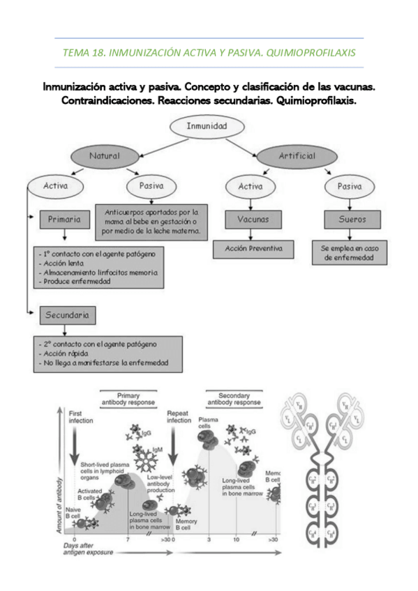 Miniatura del documento TEMA-18.pdf