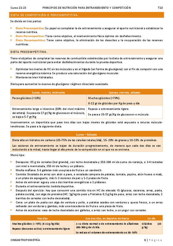 Miniatura del documento T10.pdf