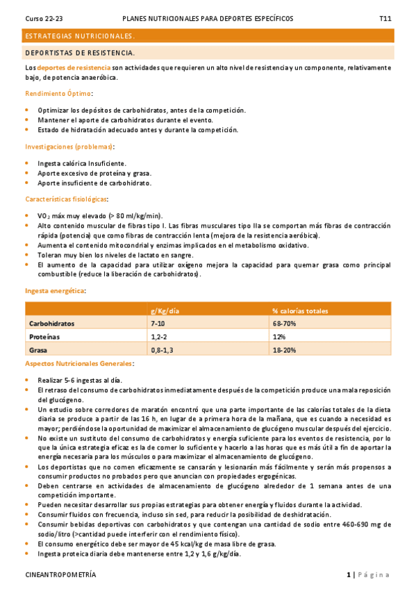 Miniatura del documento T11.pdf