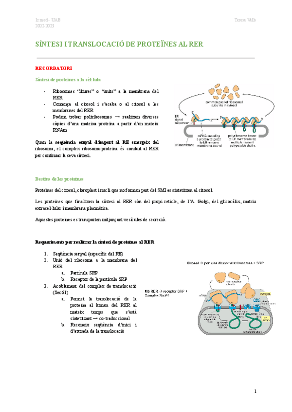 Miniatura del documento BC-SEMINARIS-1r-parcial.pdf