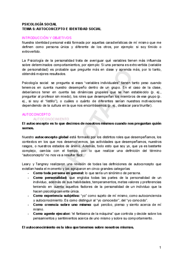 Miniatura del documento PSICOLOGIA-SOCIAL-I-TEMA-5.pdf