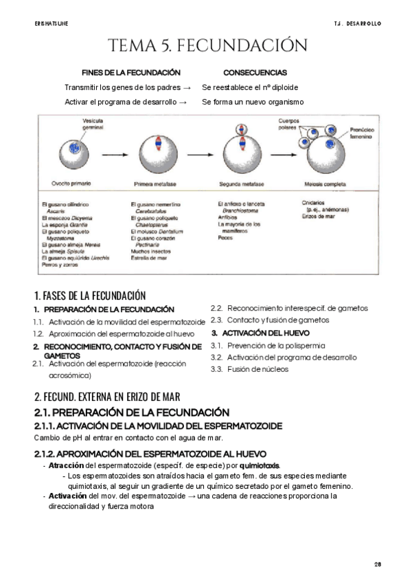 Miniatura del documento Tema-5-Fecundacion.pdf
