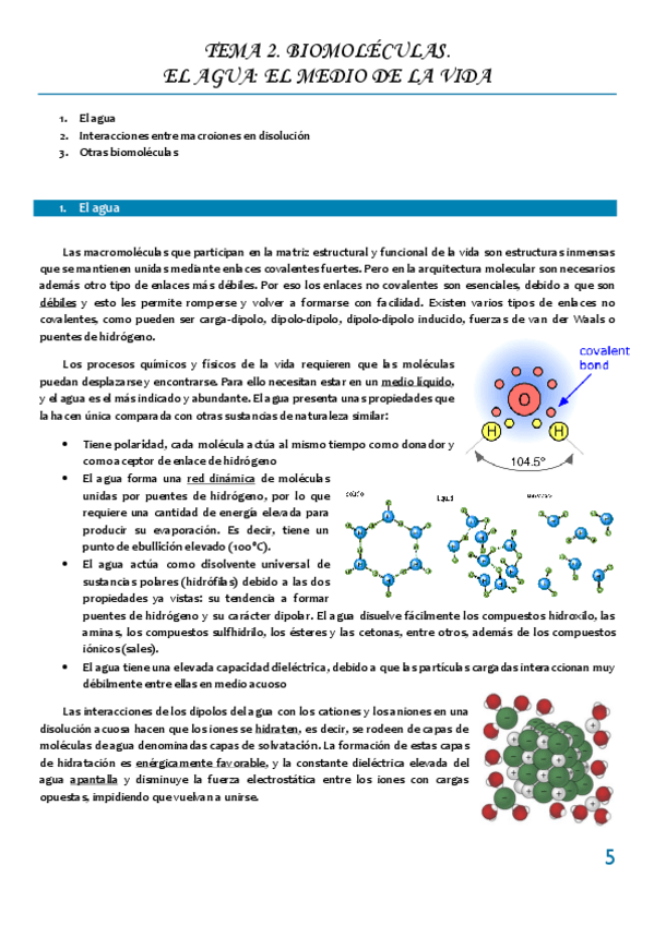 Miniatura del documento Tema 2 BIOMOLECULAS. EL AGUA. EL MEDIO DE LA VIDA.pdf